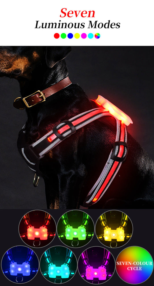 PetsFriendStore™ LED Dog Harness