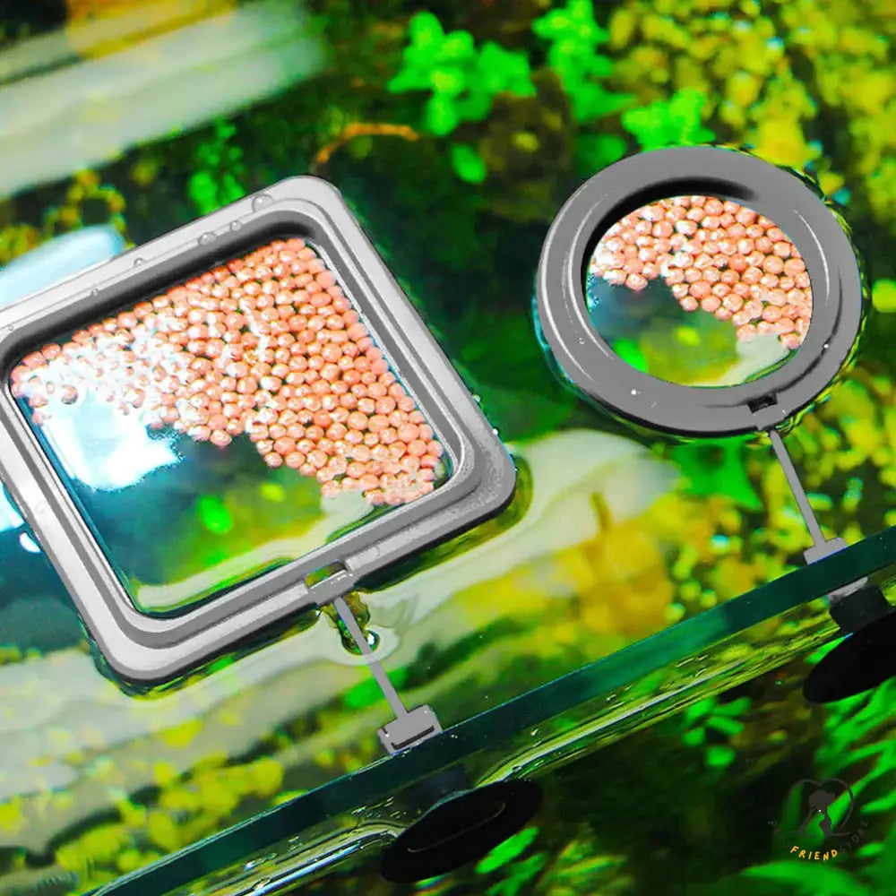 Aquarium Floating Food Feeder