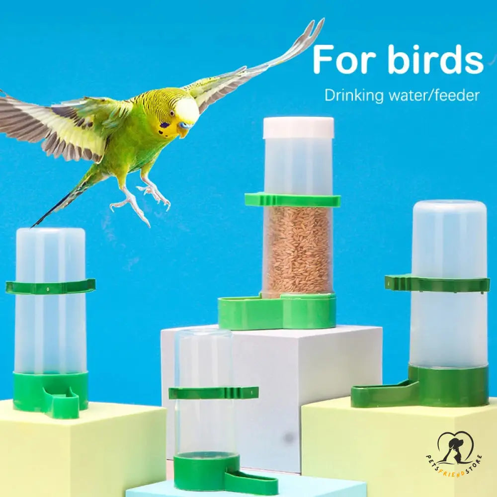 Bird Feeder Water Drinker Automatic