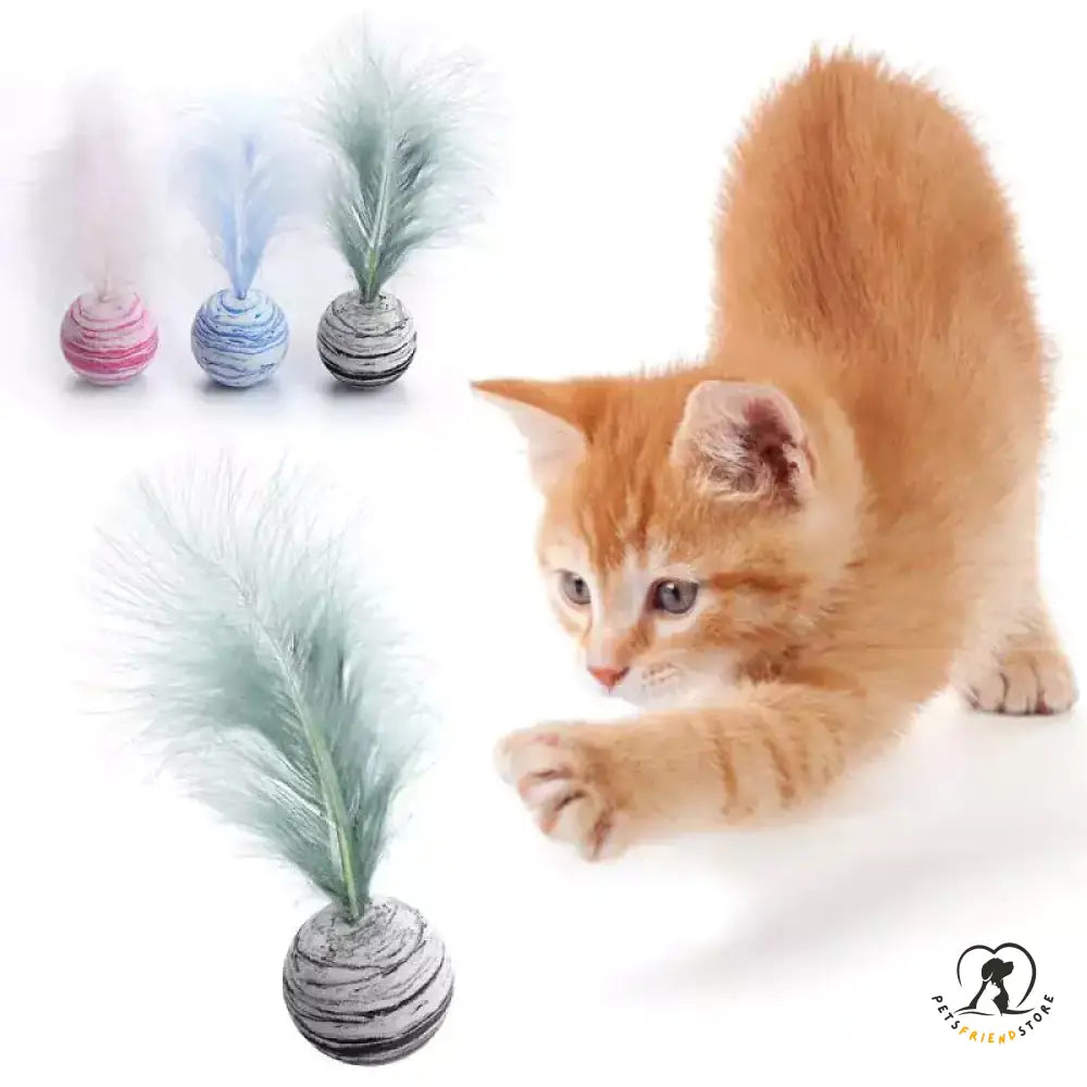 Cat Toy Feather Ball