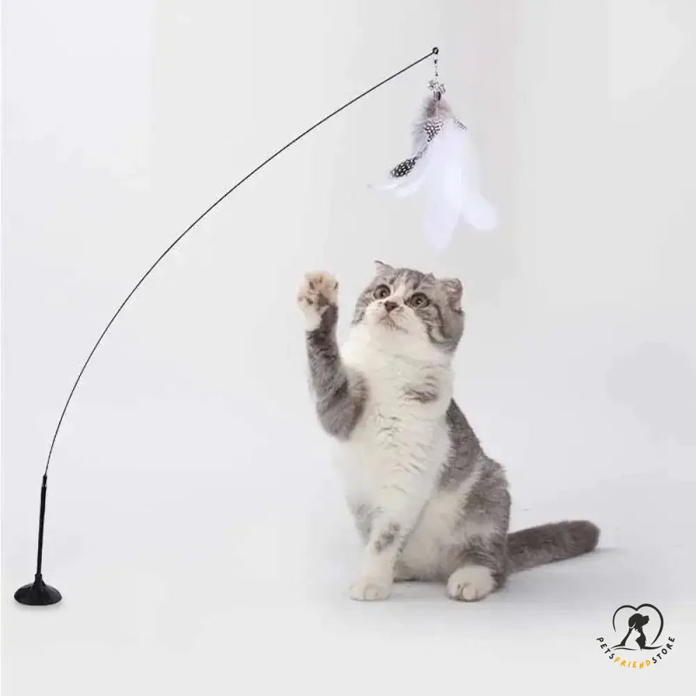 Cat Wand Toy