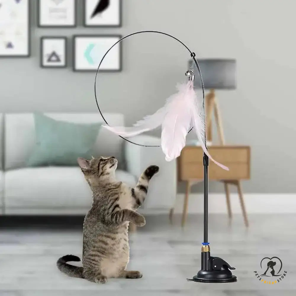 Cat Wand Toy