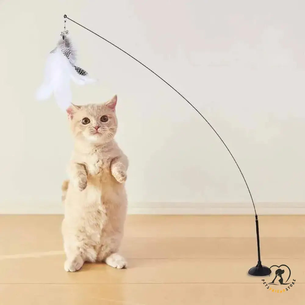 Cat Wand Toy