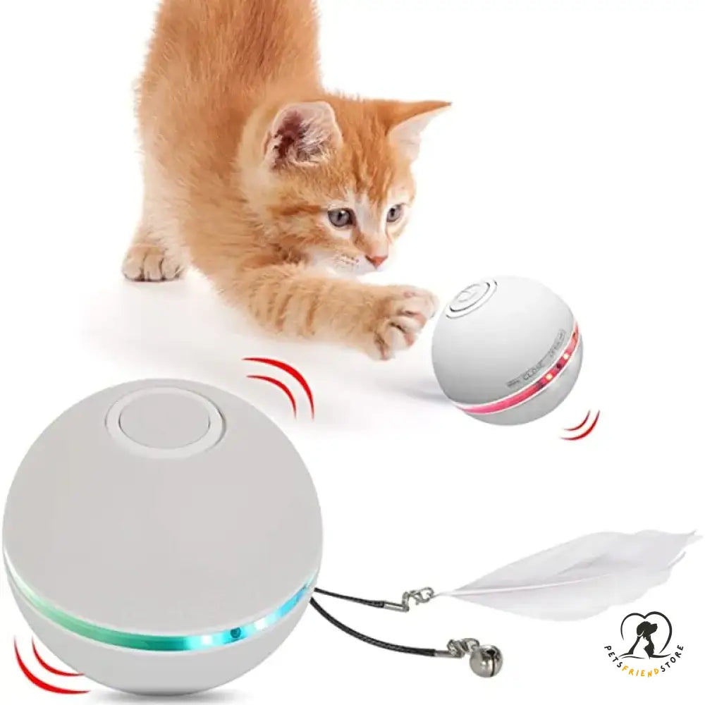 Colorful Electric Led Cat Toy