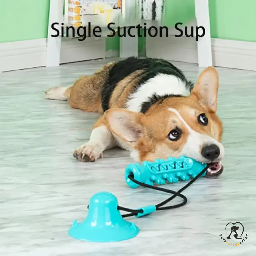 Dog Chew Toothbrush Toy 1 Suction Cup Blue