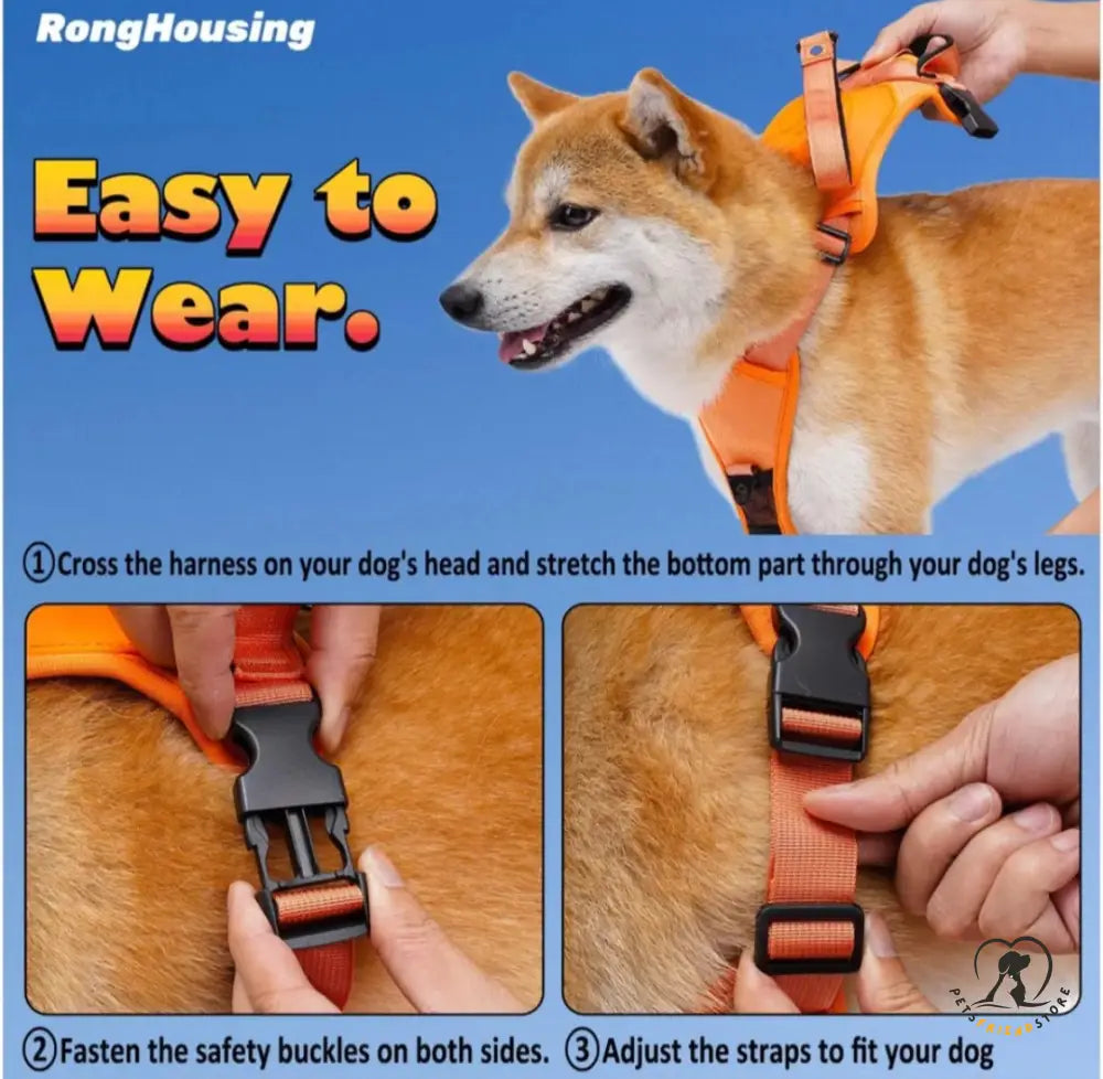 Dog Harness Leash Set