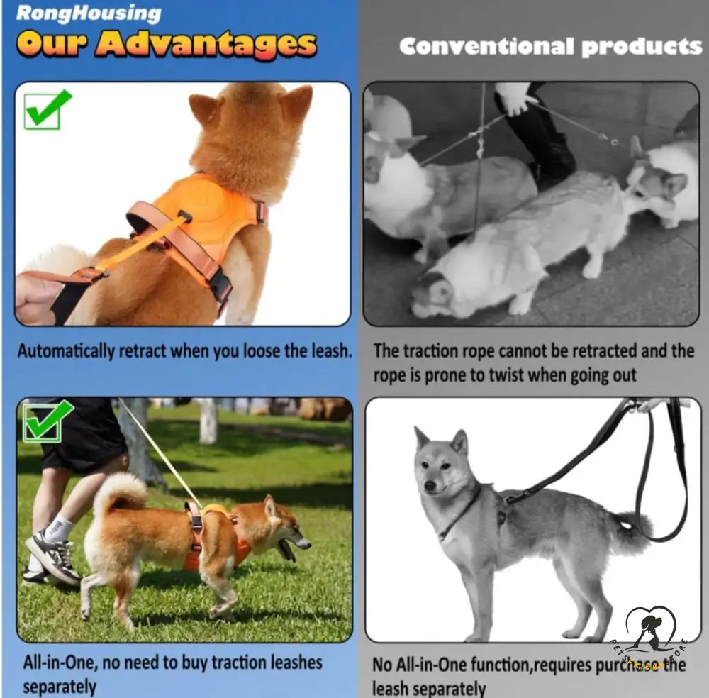 Dog Harness Leash Set