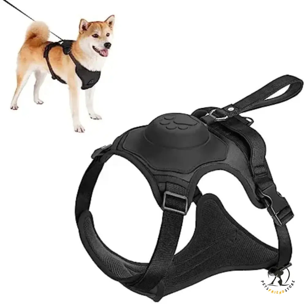 Dog Harness Leash Set Black / M