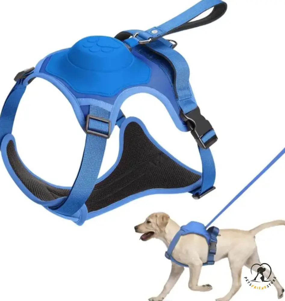 Dog Harness Leash Set Blue / M