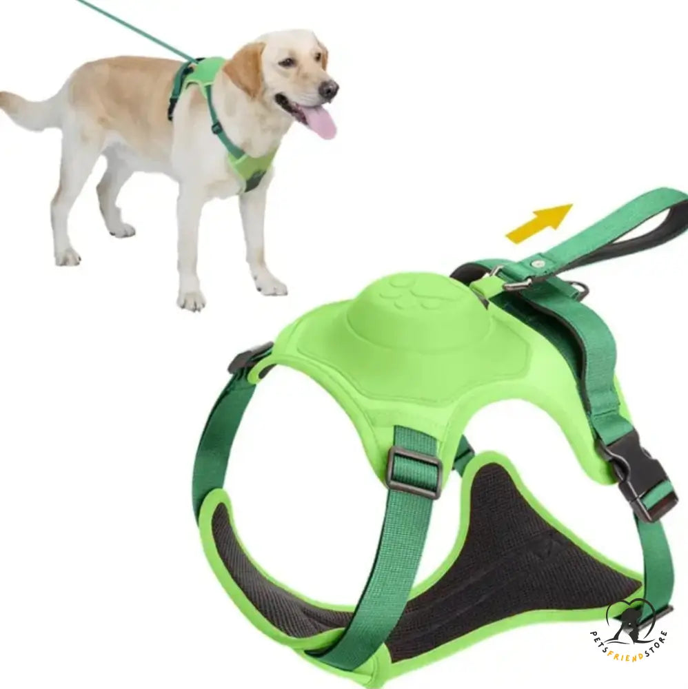 Dog Harness Leash Set Green / M