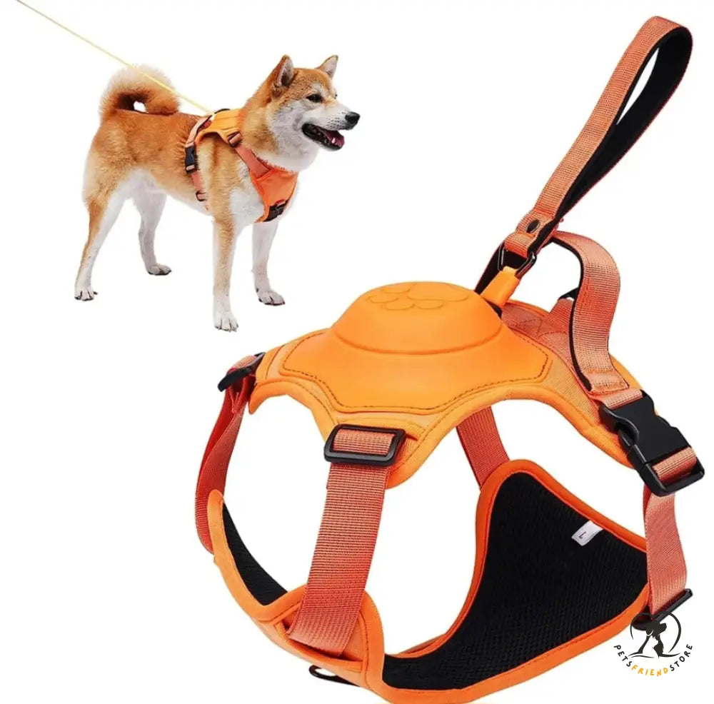 Dog Harness Leash Set Orange / M