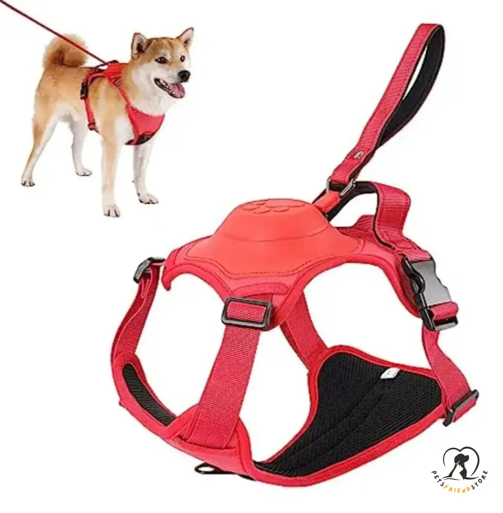 Dog Harness Leash Set Red / M