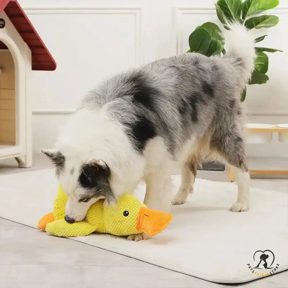 Durable Plush Chew Toy With Sounds For Dogs Quack-Quack Duck Dog