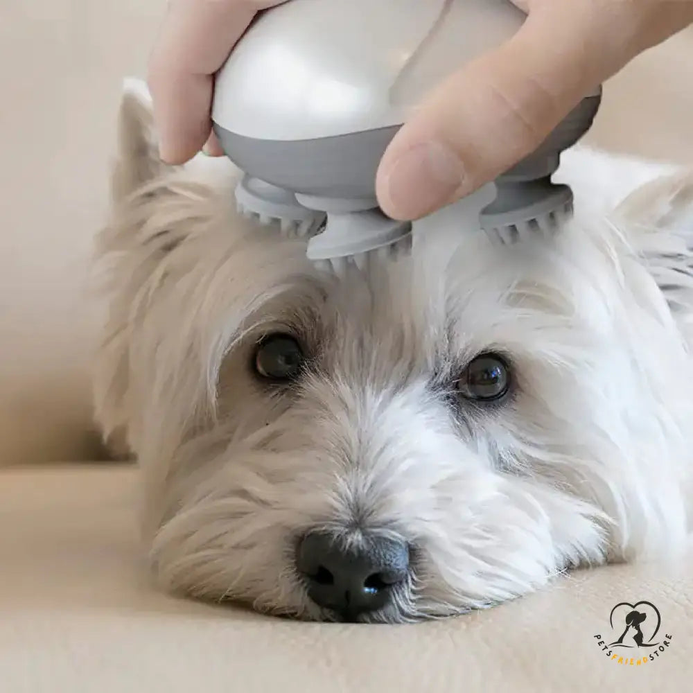 Electric Massager For Pets