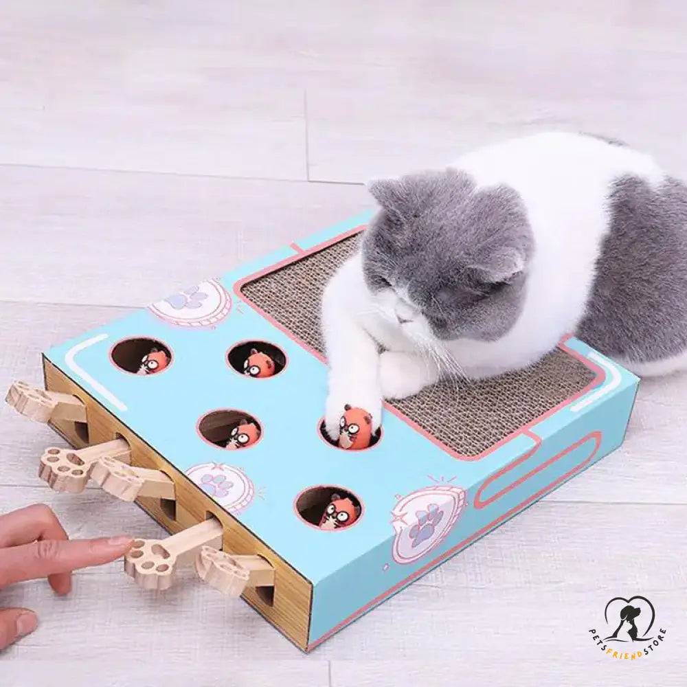 Interactive Cat Teaser Toy