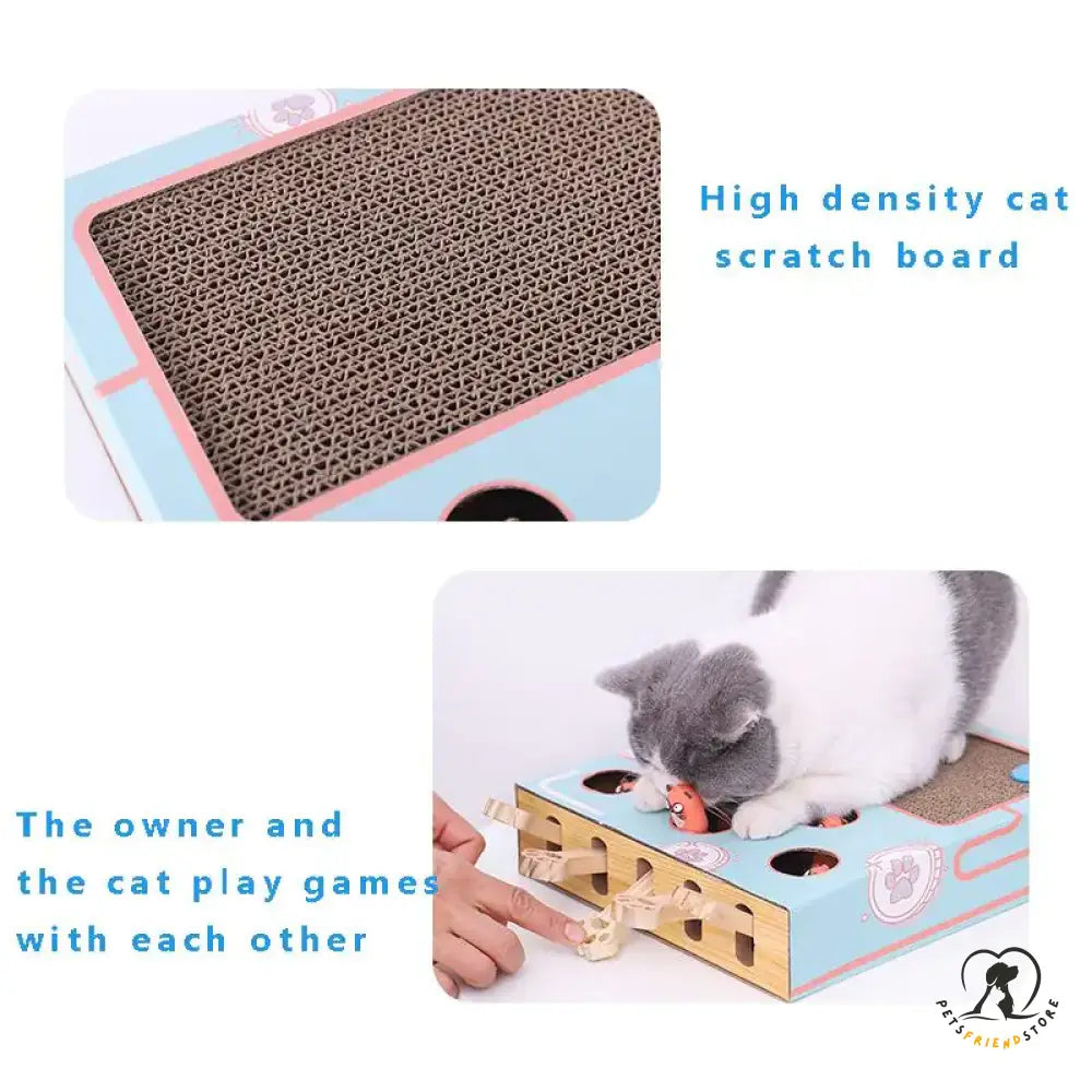 Interactive Cat Teaser Toy