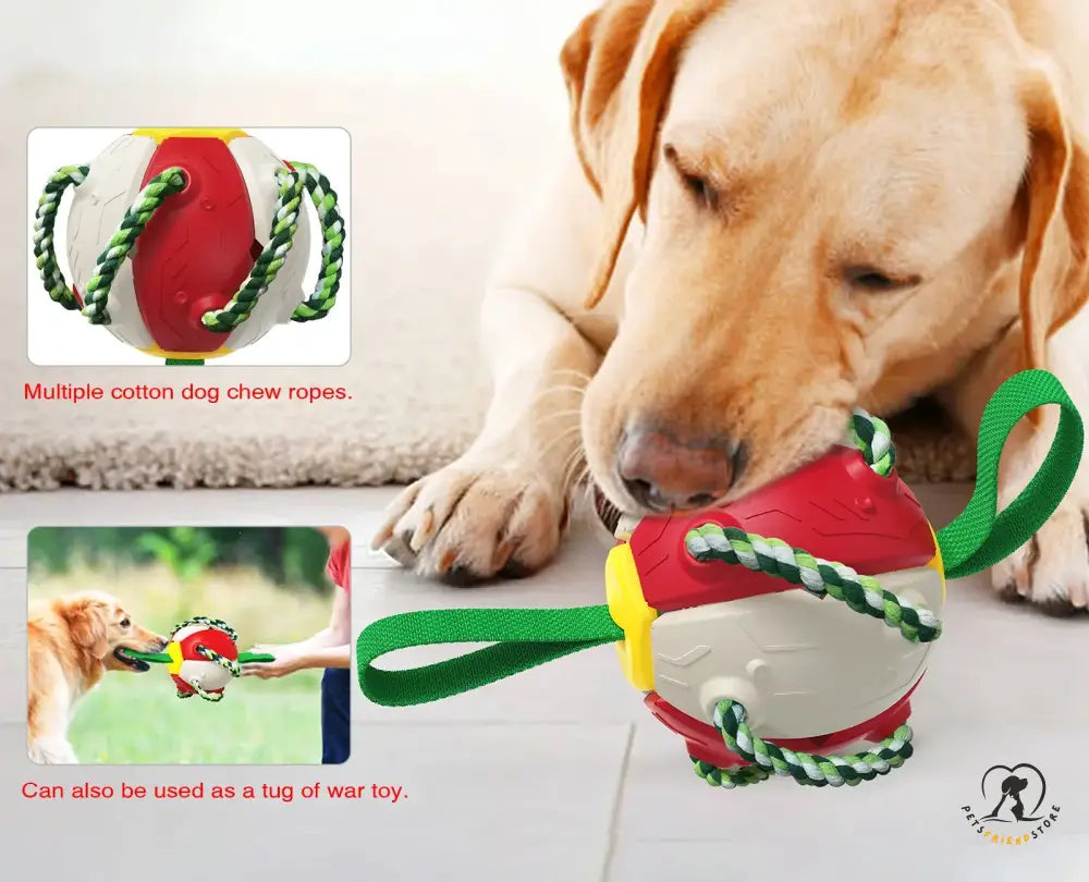 Interactive Dog Toy