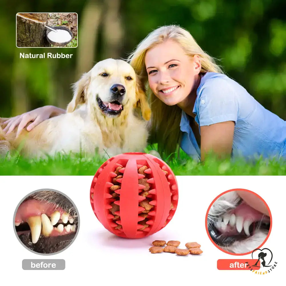 Interactive Pets Rubber Balls