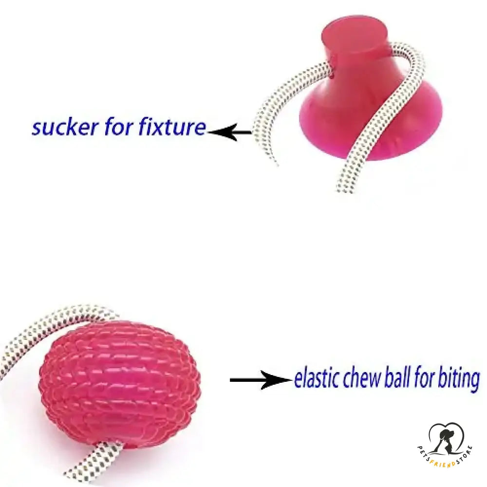 Interactive Suction Cup Dog Toy With Tpr Ball