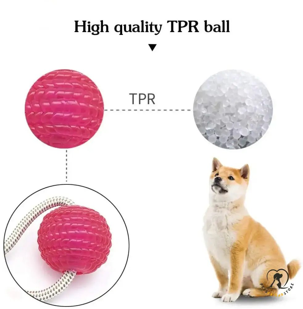 Interactive Suction Cup Dog Toy With Tpr Ball