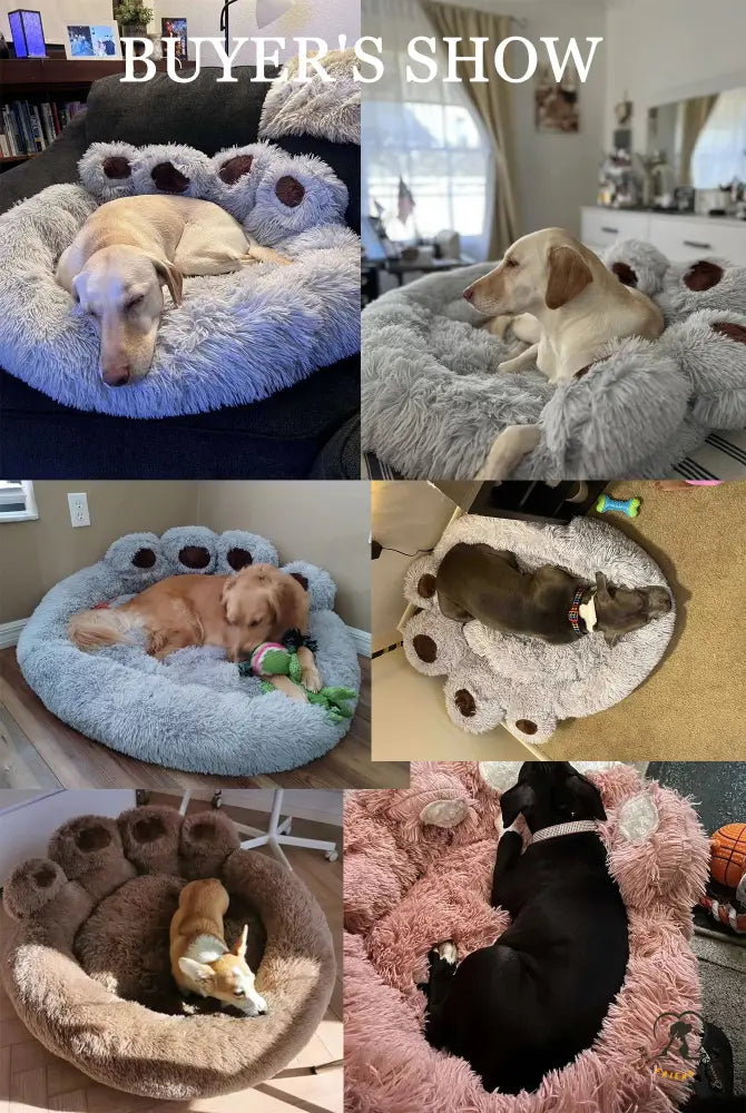 Petsfriendstore™Dog Sofa Beds