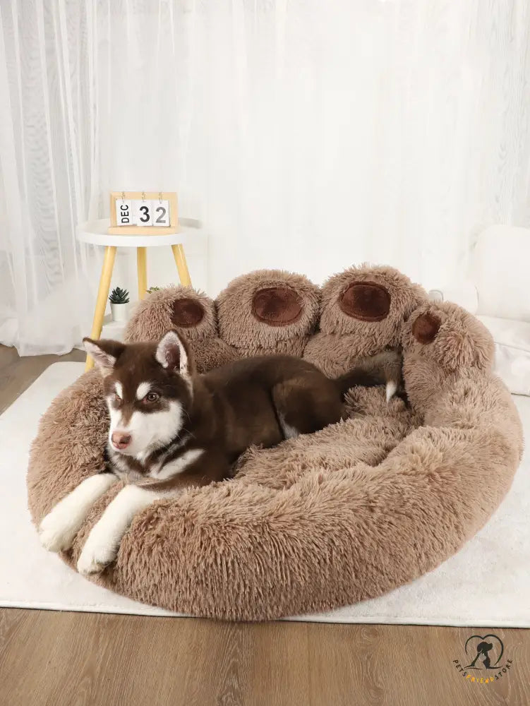 Petsfriendstore™Dog Sofa Beds