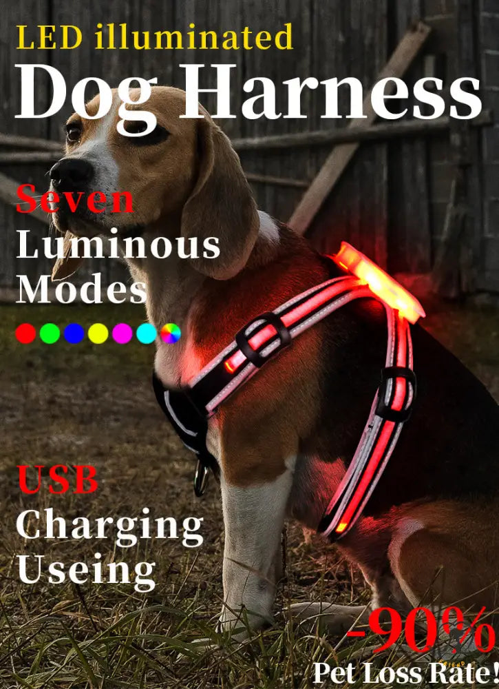 Petsfriendstore™ Led Dog Harness