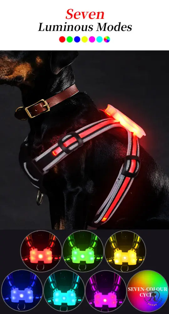 Petsfriendstore™ Led Dog Harness