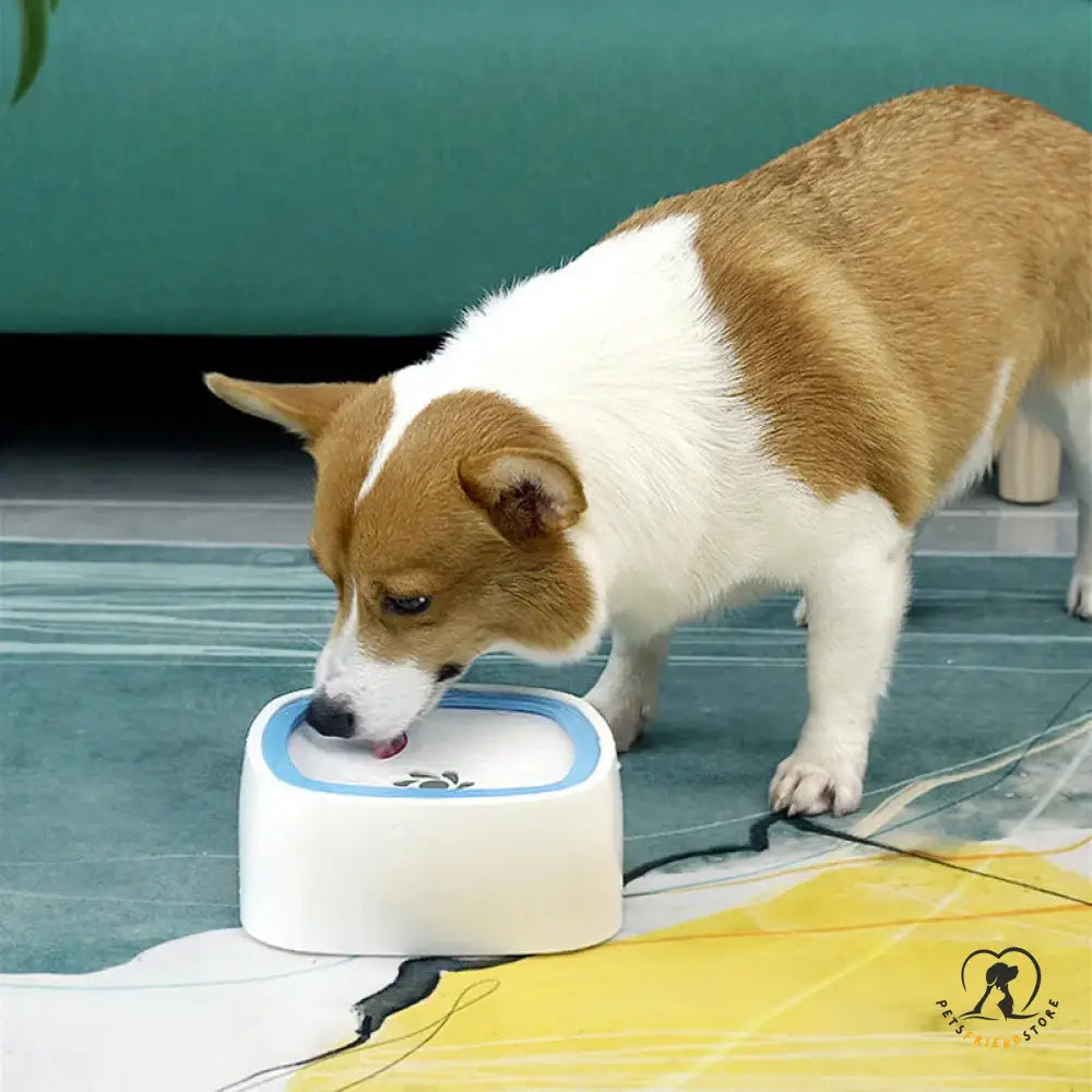 Petsfriendstore™No-Spill Pet Water Bowl