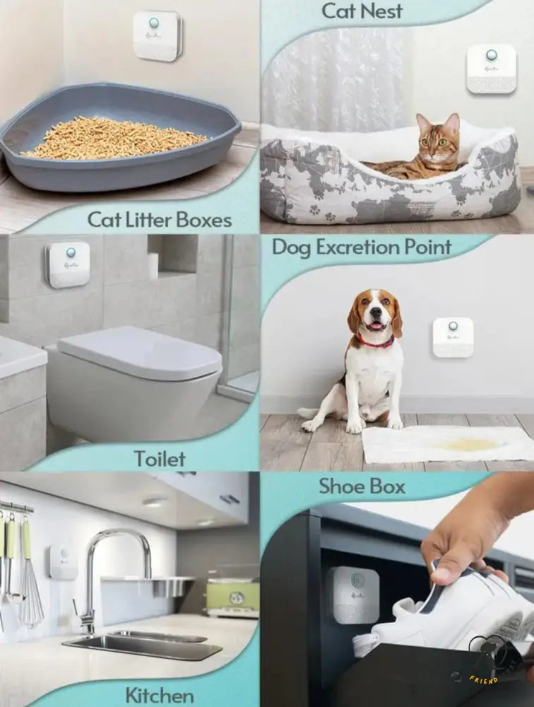 Petsfriendstore™ Smart Cat Odor Purifier For Cats Litter Box