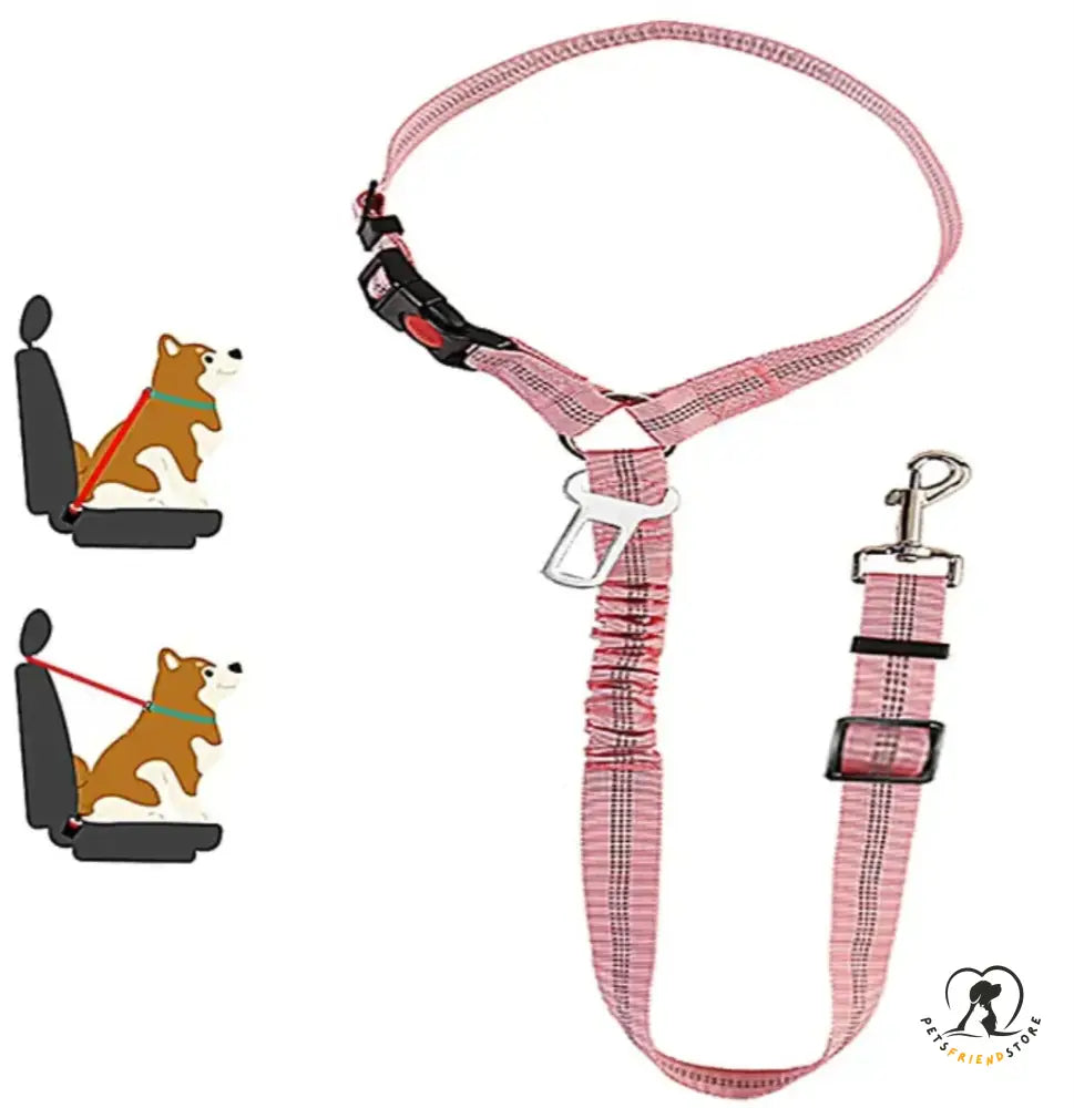 PetsFriendStore™ two-in-one dog safety belt, car seat belt and leash combo