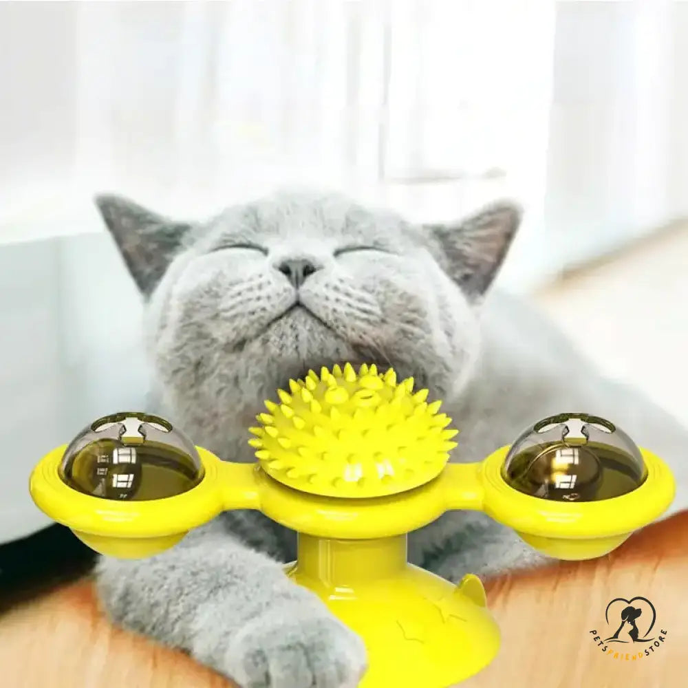 Spinner Cat Toy Fun