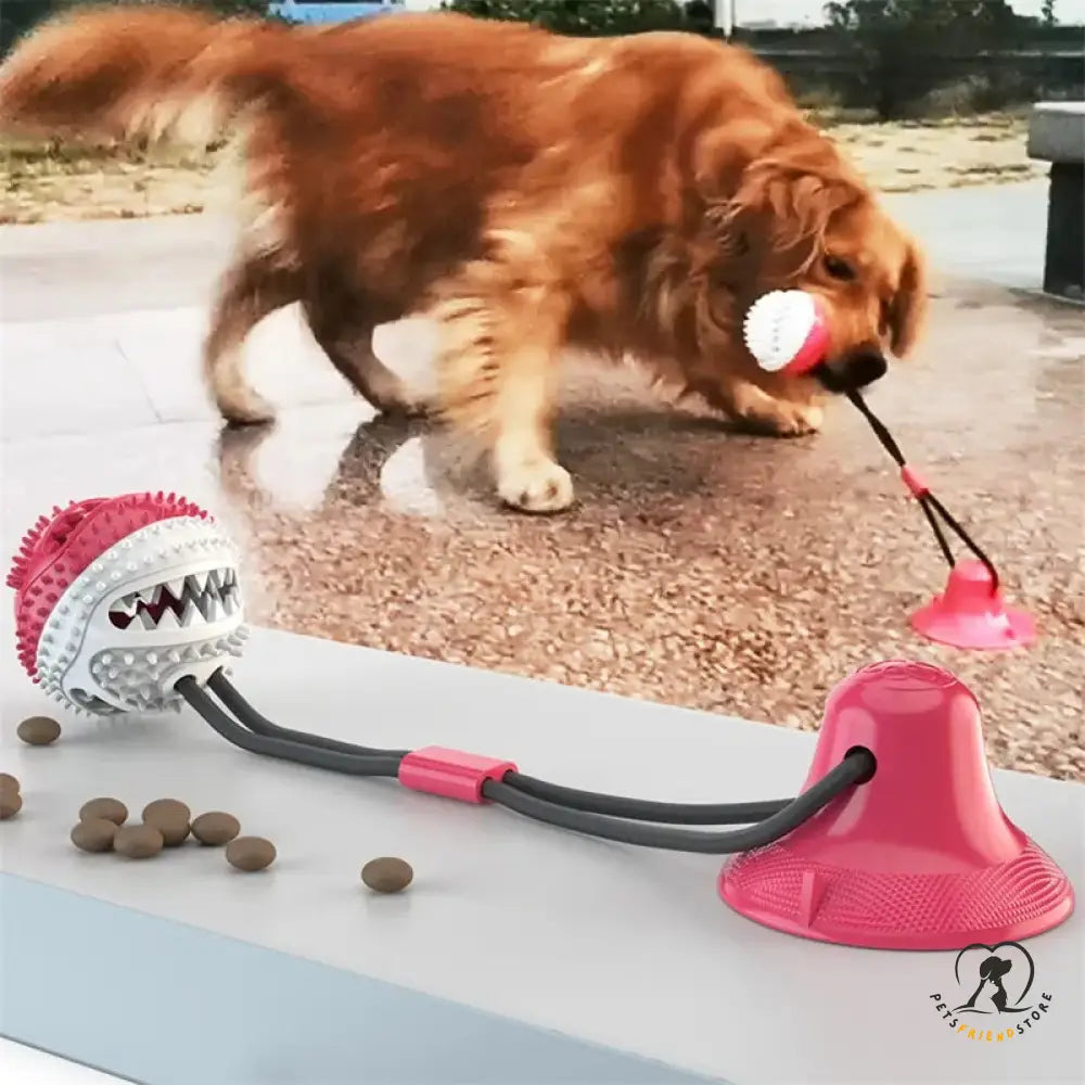 Suction ball interactive dog toy for solo play, durable and hands-free