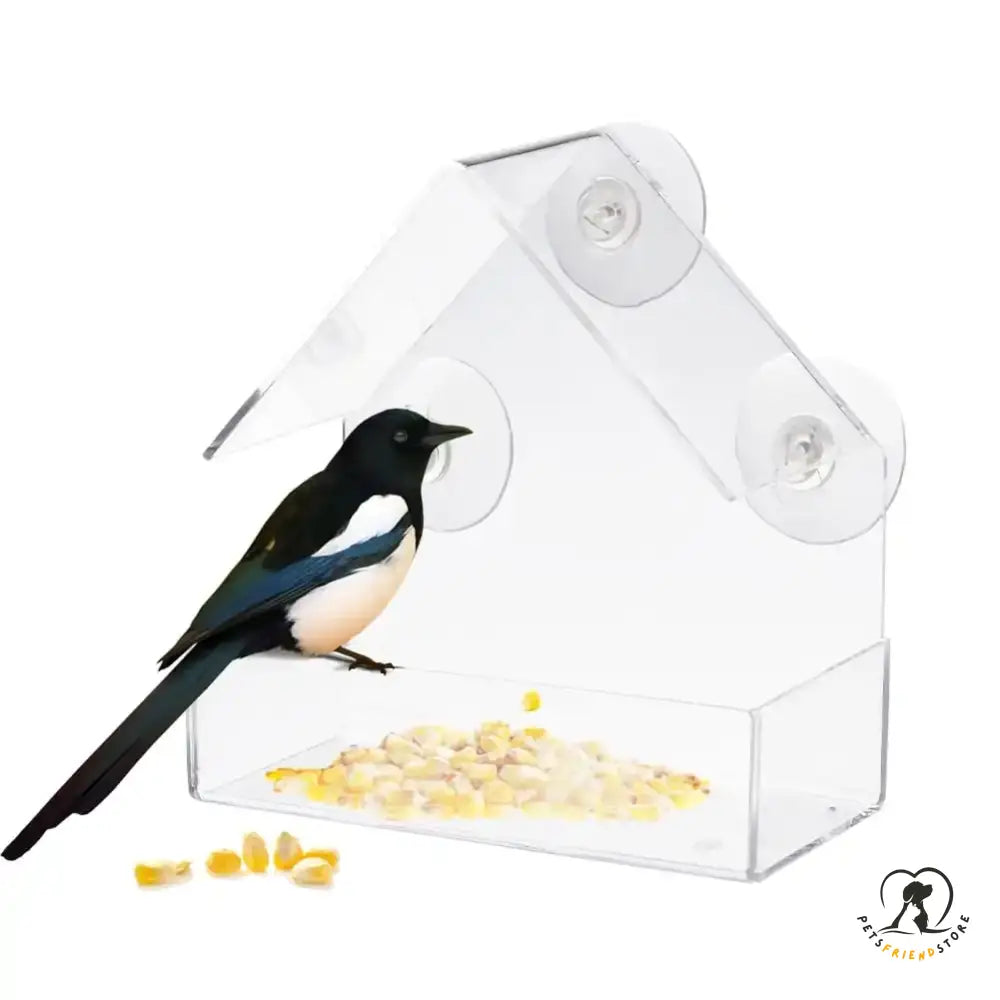 Suction Cup Bird Acrylic Feeder