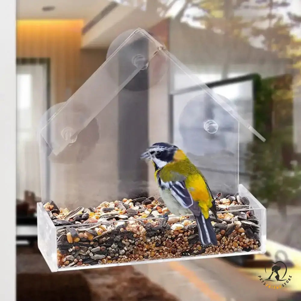 Suction Cup Bird Acrylic Feeder