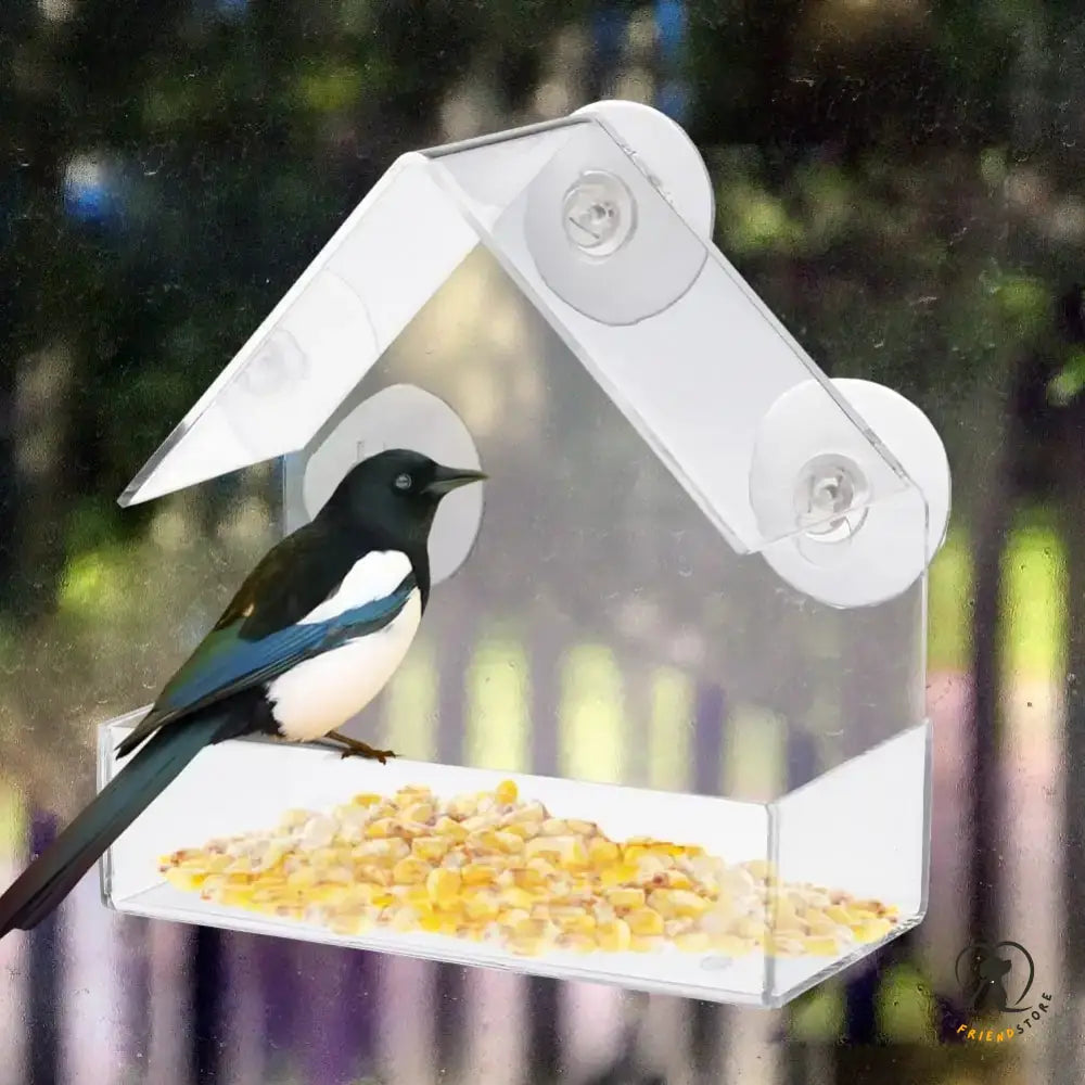 Suction Cup Bird Acrylic Feeder