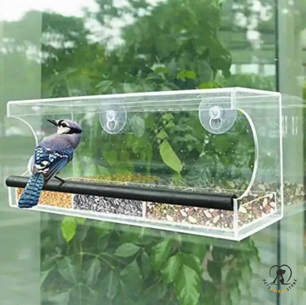 Transparent Bird Feeder Window Mount